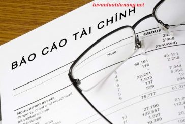 Báo cáo năng lực tài chính của nhà đầu tư tại Đà Nẵng